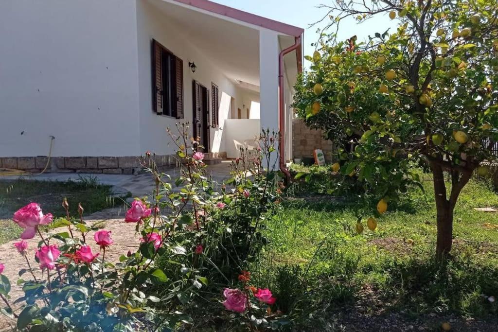 Casa Bellavista Villa Villarios Dış mekan fotoğraf